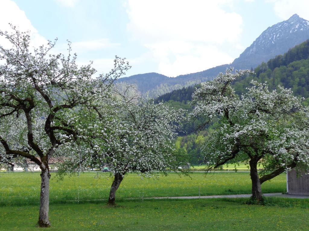 K3 - Appartements Strobl Luaran gambar